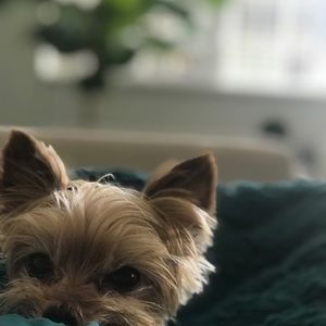 Meet your Posher, Kristin